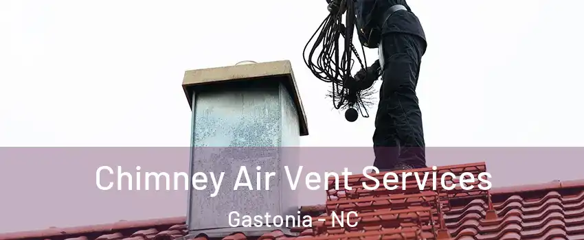  Chimney Air Vent Services Gastonia - NC