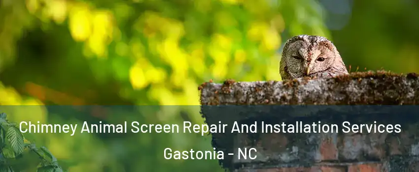  Chimney Animal Screen Repair And Installation Services Gastonia - NC