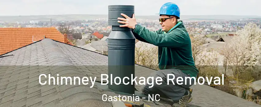  Chimney Blockage Removal Gastonia - NC