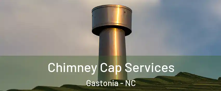  Chimney Cap Services Gastonia - NC