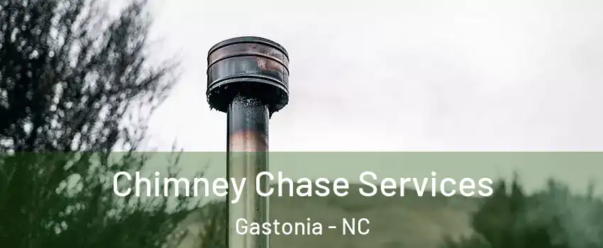  Chimney Chase Services Gastonia - NC