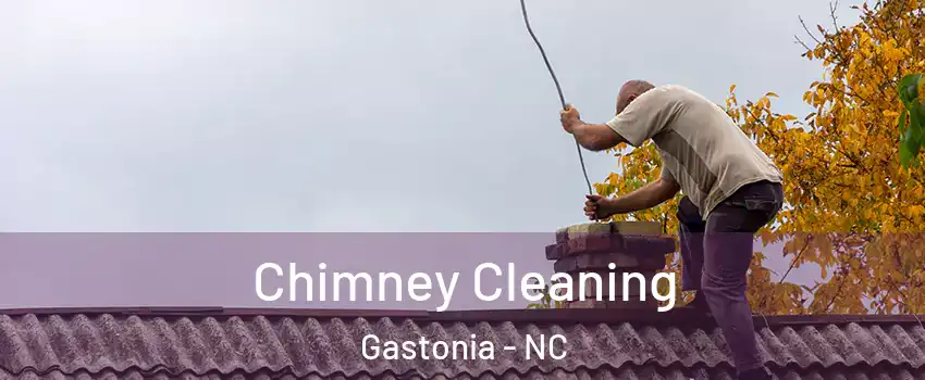  Chimney Cleaning Gastonia - NC