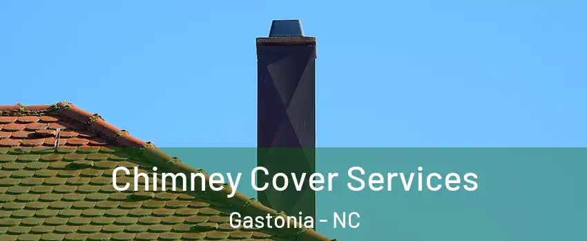  Chimney Cover Services Gastonia - NC