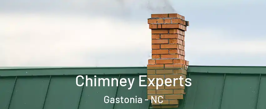 Chimney Experts Gastonia - NC