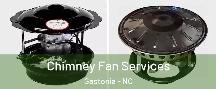  Chimney Fan Services Gastonia - NC