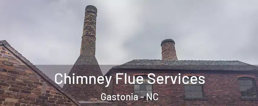  Chimney Flue Services Gastonia - NC