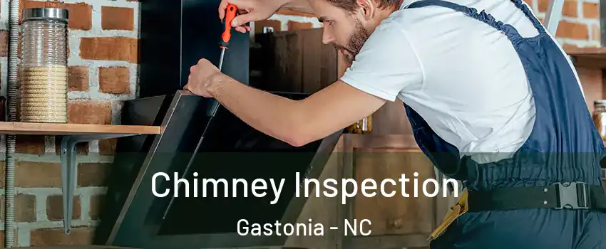  Chimney Inspection Gastonia - NC