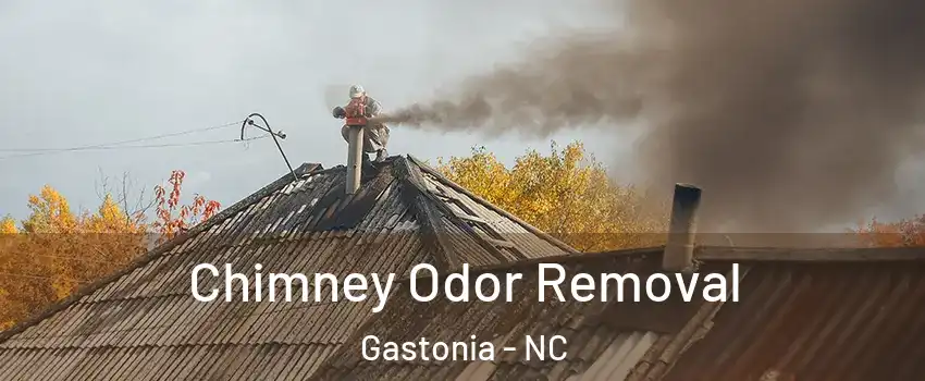  Chimney Odor Removal Gastonia - NC
