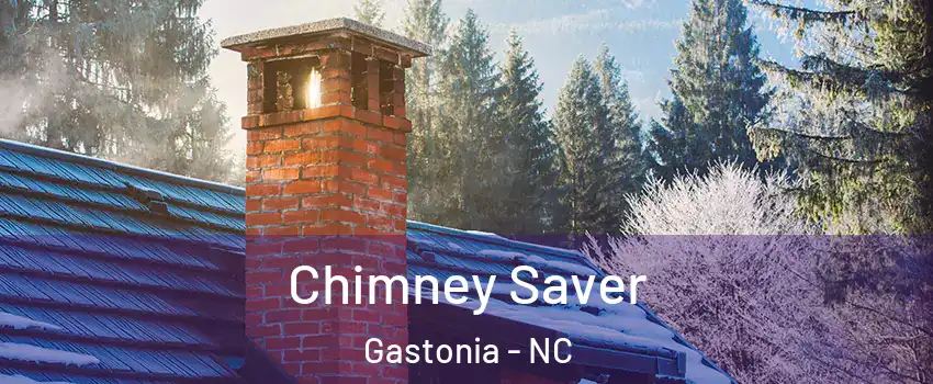  Chimney Saver Gastonia - NC