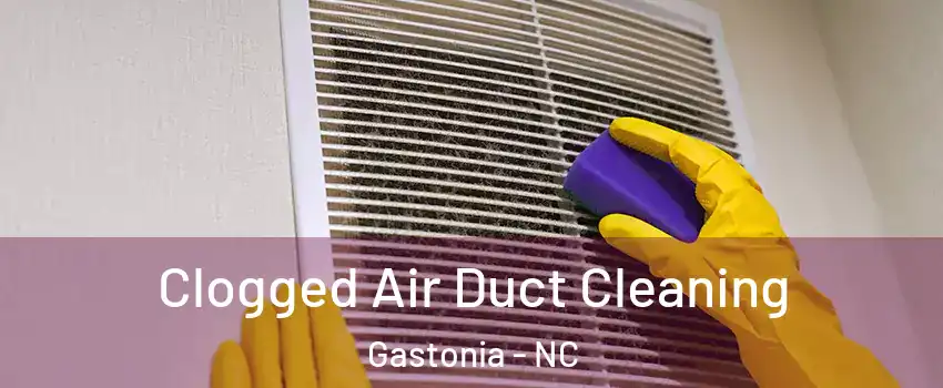  Clogged Air Duct Cleaning Gastonia - NC