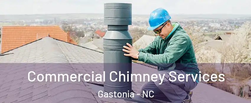  Commercial Chimney Services Gastonia - NC