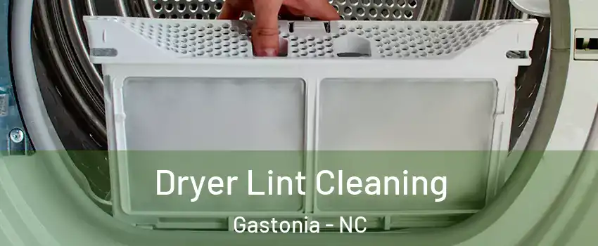  Dryer Lint Cleaning Gastonia - NC