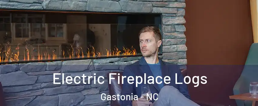  Electric Fireplace Logs Gastonia - NC