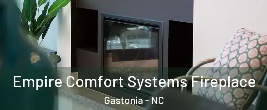  Empire Comfort Systems Fireplace Gastonia - NC