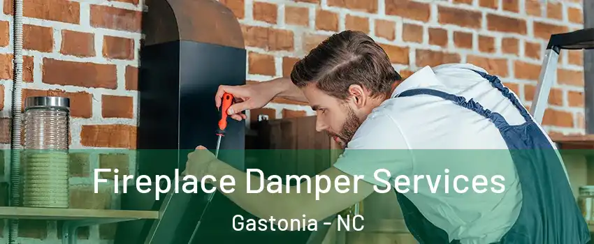  Fireplace Damper Services Gastonia - NC
