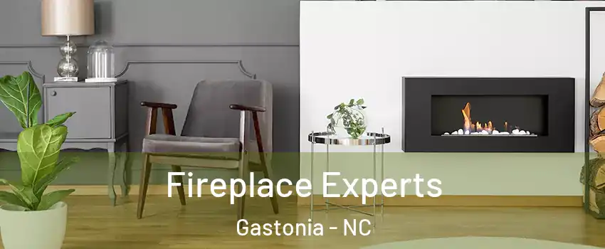  Fireplace Experts Gastonia - NC