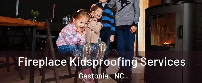  Fireplace Kidsproofing Services Gastonia - NC