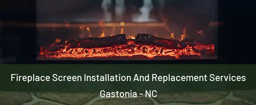  Fireplace Screen Installation And Replacement Services Gastonia - NC