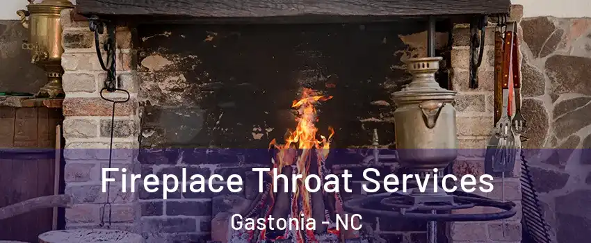  Fireplace Throat Services Gastonia - NC