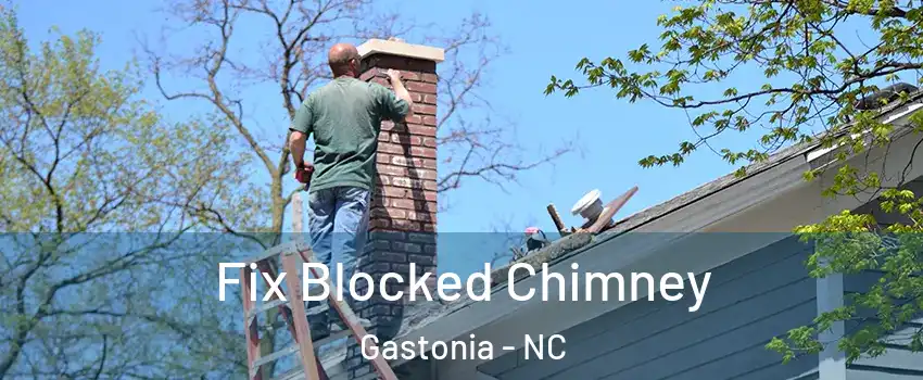  Fix Blocked Chimney Gastonia - NC