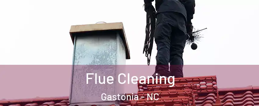  Flue Cleaning Gastonia - NC