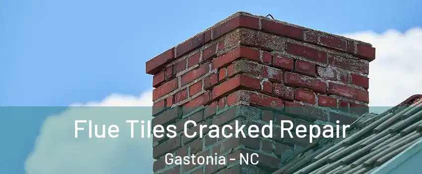  Flue Tiles Cracked Repair Gastonia - NC