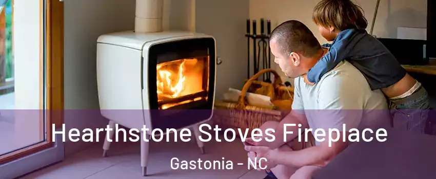  Hearthstone Stoves Fireplace Gastonia - NC