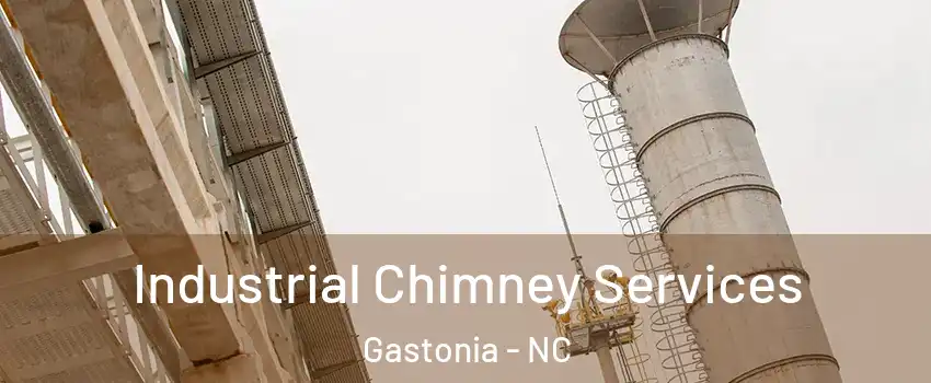  Industrial Chimney Services Gastonia - NC