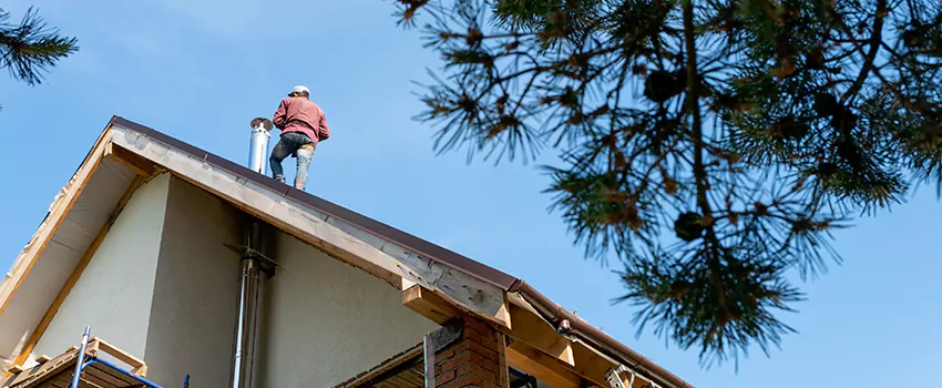 Birds Removal Contractors from Chimney in Gastonia, NC