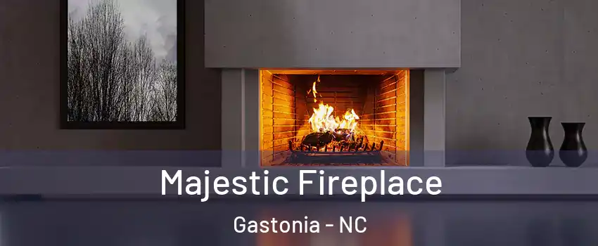  Majestic Fireplace Gastonia - NC
