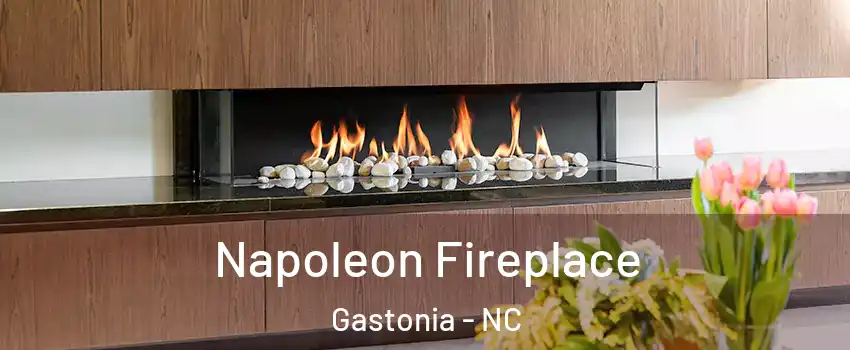  Napoleon Fireplace Gastonia - NC