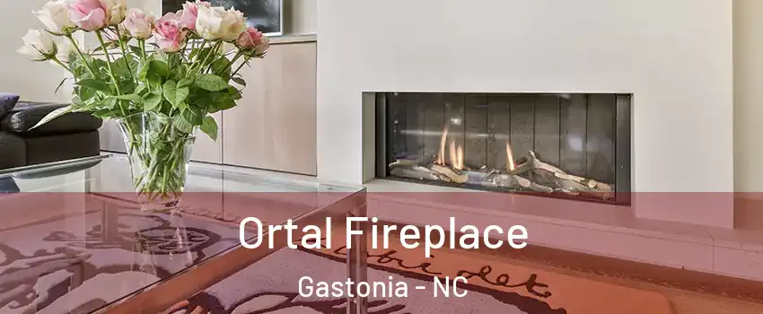  Ortal Fireplace Gastonia - NC