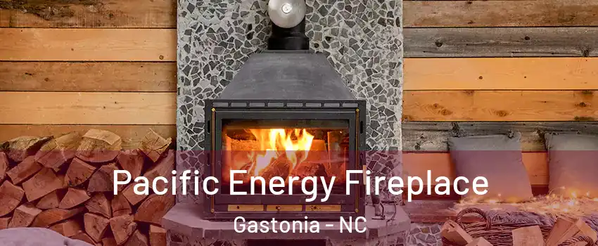  Pacific Energy Fireplace Gastonia - NC